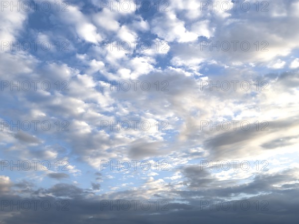 View at dusk on top large cloud field of cirrocumulus clouds drifting at high altitude white