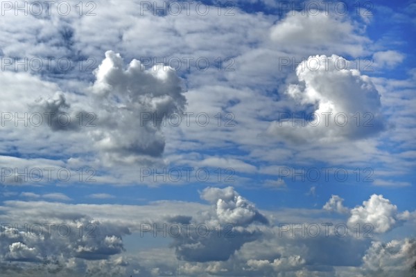 Several types of cumulus white clouds, darker cumulus clouds at the bottom edge of the picture