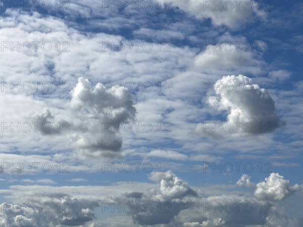 Several types of cumulus white clouds, cumulus clouds at the bottom edge of the picture, cumulus