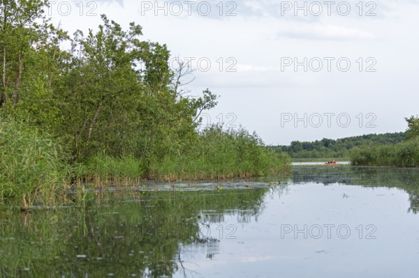 Canoe, Alte Fahrt canal and Caarpsee lake, Müritz National Park, Mecklenburg Lake District,