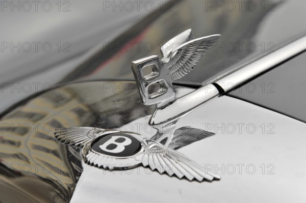 Bentley emblem on a shiny bonnet, symbolising luxury and elegance, Retro Classics meets Baroque,