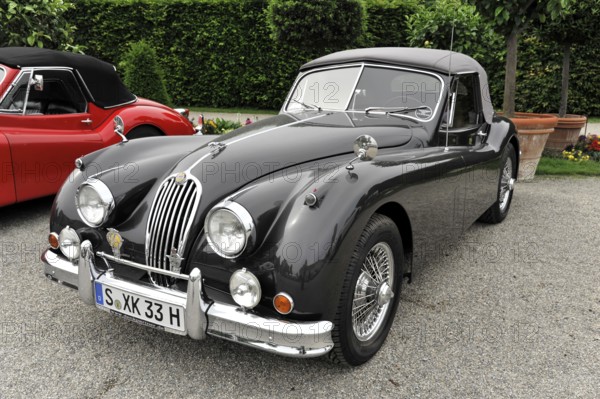 Jaguar Coupe, Classic car, Classic grey Jaguar vintage car with charming vintage style and elegant
