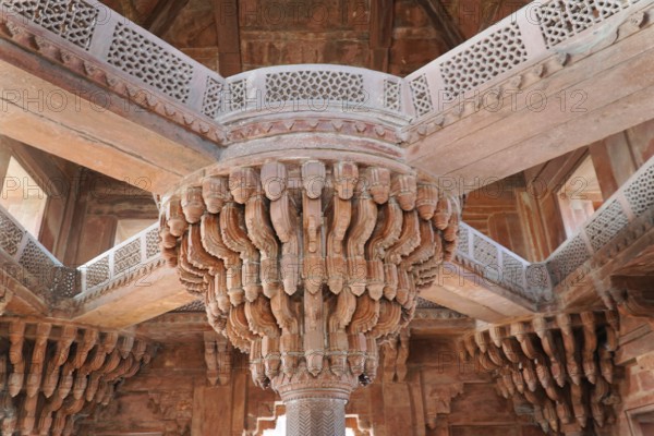 Sawai Madhopur, Kota, Rajasthan, North India, Asia, Detailed stone sculpture and ceiling decoration