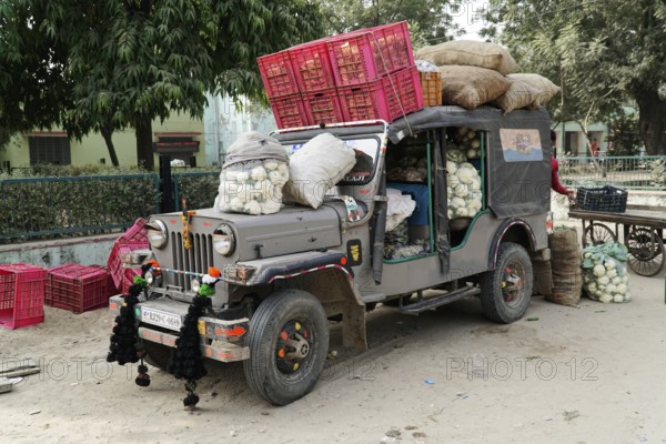 Sawai Madhopur, Kota, Rajasthan, North India, Asia, A fully loaded lorry with cauliflowers and