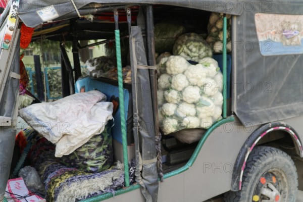 Sawai Madhopur, Kota, Rajasthan, North India, Asia, Open van full of cauliflower heads and other