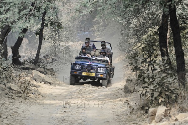 Ranthambhore Tiger Reserve, Sawai Madhopur, Kota, Rajasthan, North India, Asia, Jeep with drivers