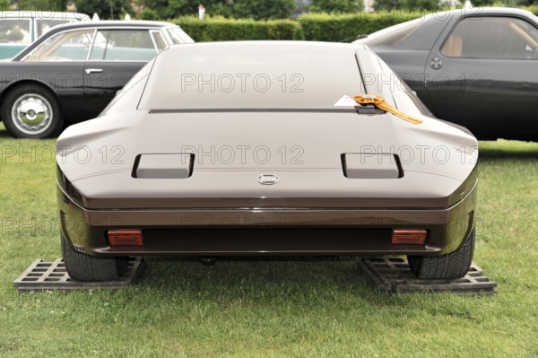 A brown classic sports car displayed from behind in a meadow, Retro Classics meets Baroque,