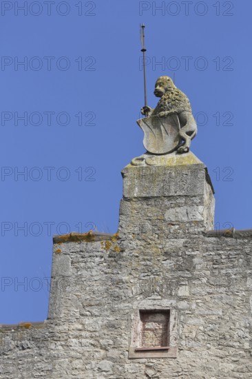Roof figure with shield and flag on the stepped gable of the cathedral chapter palatium, lion