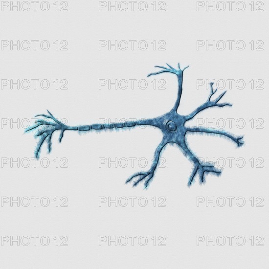 Neuron Axon, Mind and Psychology Concept