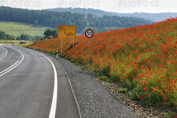 Empty federal road B 240, little traffic, traffic signs, speed limit 50 km/h, poppy blossom on the