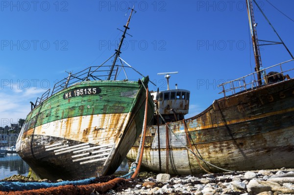 Ship cemetery in the harbour of Camaret-Sur-Mer, West French coast, Camaret-Sur-Mer, Brittany,