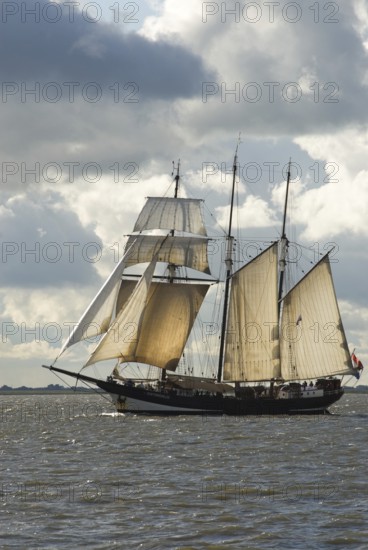 Three-masted topsail schooner Oosterschelde (built 1917), Rotterdam, harbour of Bremerhaven,
