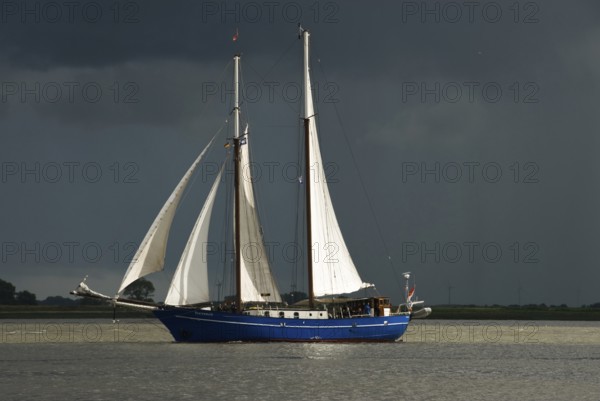 Two-masted gaff schooner Stortemelk (built 1961-62), Amsterdam, harbour of Bremerhaven,