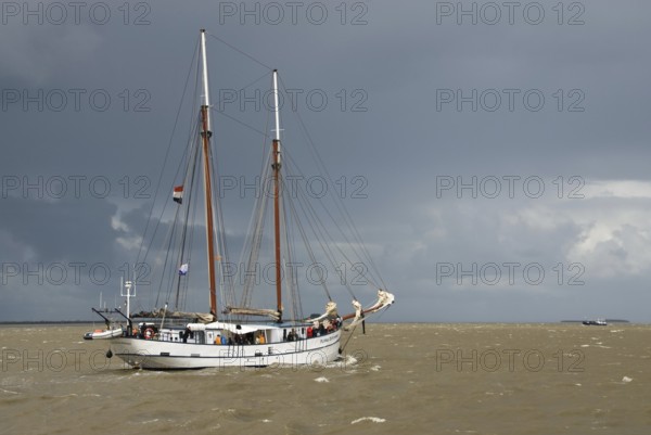 2-masted topsail schooner Flying Dutchman, harbour of Bremerhaven, Bremerhaven, Lower Saxony,