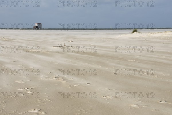 A strong storm whistles across the desert-like western beach of the North Frisian island of Amrum,