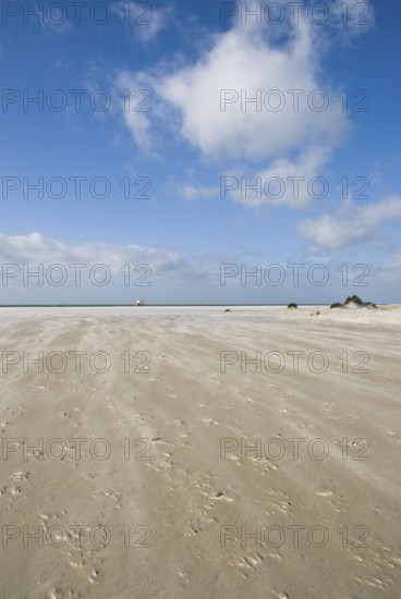 A strong storm whistles across the desert-like western beach of the North Frisian island of Amrum,
