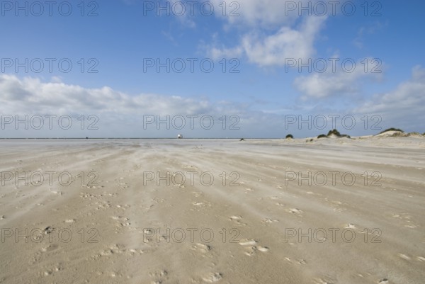 A strong storm whistles across the desert-like western beach of the North Frisian island of Amrum,