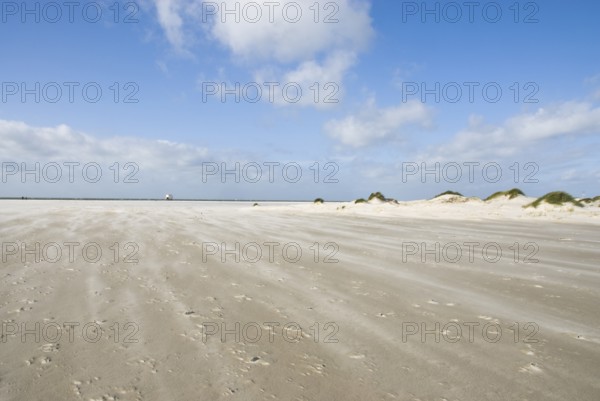 A strong storm whistles across the desert-like western beach of the North Frisian island of Amrum,