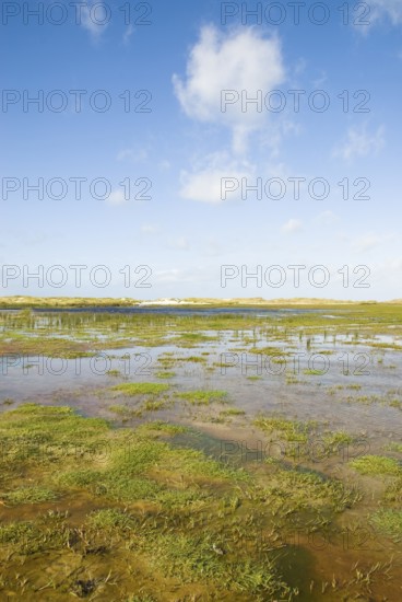 Water reservoir between the dunes of the North Frisian island of Amrum, Amrum, Norddorf, North