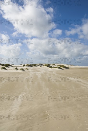 A strong storm whistles across the desert-like western beach of the North Frisian island of Amrum,