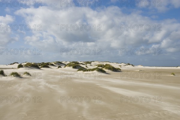 A strong storm whistles across the desert-like western beach of the North Frisian island of Amrum,