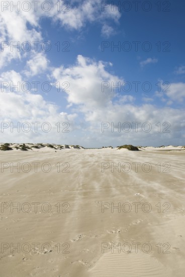 A strong storm whistles across the desert-like western beach of the North Frisian island of Amrum,
