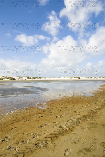 Water reservoir between the dunes of the North Frisian island of Amrum, Amrum, Norddorf, North