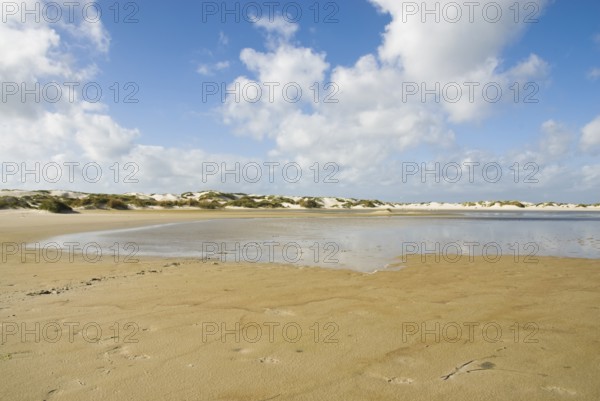 Water reservoir between the dunes of the North Frisian island of Amrum, Amrum, Norddorf, North