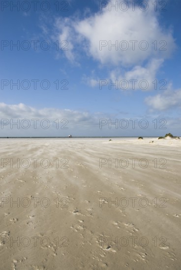 A strong storm whistles across the desert-like western beach of the North Frisian island of Amrum,