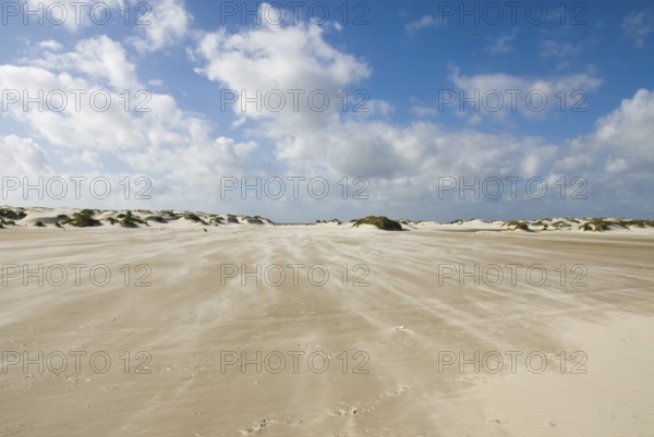 A strong storm whistles across the desert-like western beach of the North Frisian island of Amrum,