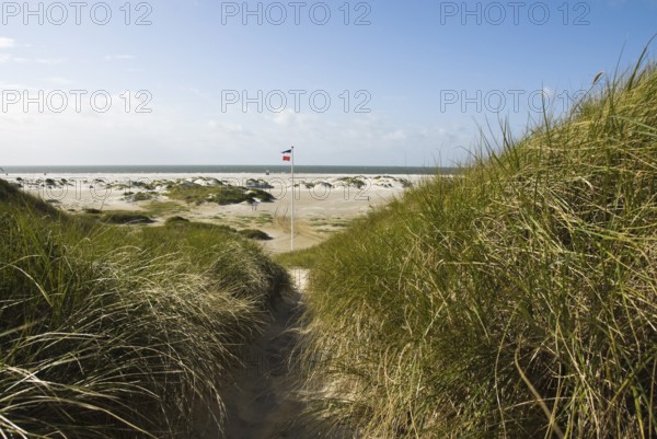 Dune landscape in front of a blue sky on the beach of Norddorf on the North Frisian island of
