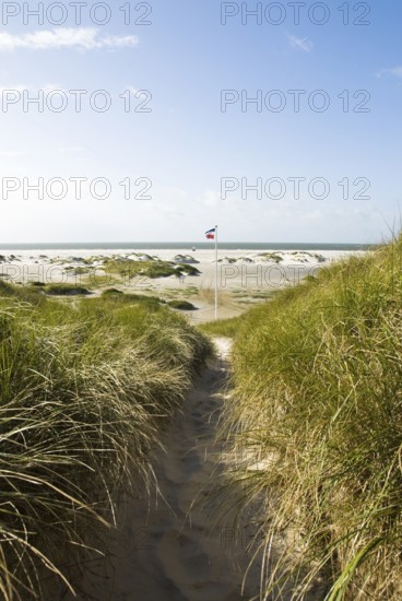 Dune landscape in front of a blue sky on the beach of Norddorf on the North Frisian island of