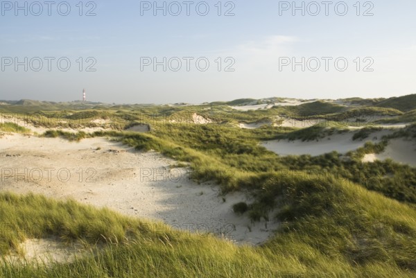 Impressions of the beach in the village of Süddorf on the North Frisian island of Amrum, Amrum,