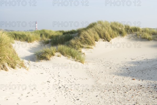 Impressions of the beach in the village of Süddorf on the North Frisian island of Amrum, Amrum,