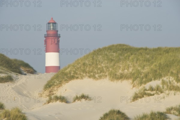 Impressions of the beach in the village of Süddorf on the North Frisian island of Amrum, Amrum,