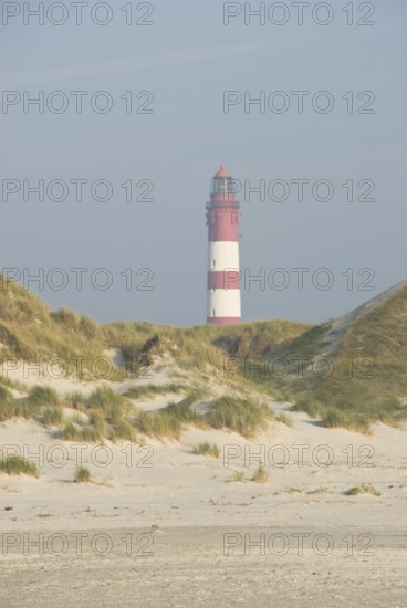 Impressions of the beach in the village of Süddorf on the North Frisian island of Amrum, Amrum,
