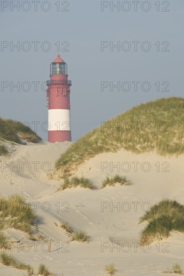 Impressions of the beach in the village of Süddorf on the North Frisian island of Amrum, Amrum,