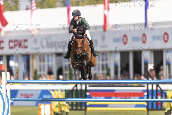 Tom Wachman of Ireland, riding Tabasco De Toxandria Z, competes in the first round of the 2025 BMO