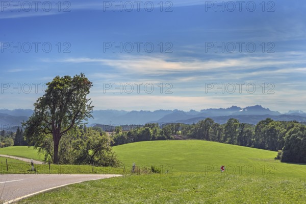 Blue sky, foehn clouds, country road, green meadows and Austrian and Swiss Alps near Tautenhofen,