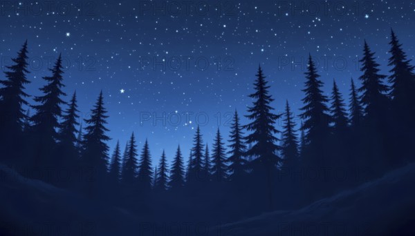 A serene night scene with silhouetted evergreen trees against a deep blue sky filled with twinkling