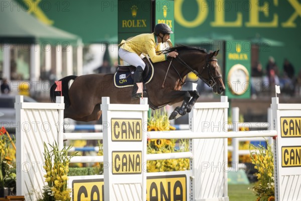 Yuri Mansur of Brazil, riding QH Alfons Santo Antonio competes in the 2025 Spruce Meadows Masters