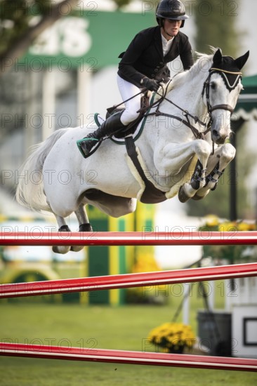 Hilary Scott or Australia, riding Oaks Milky Way competes in the 2025 Spruce Meadows Masters on