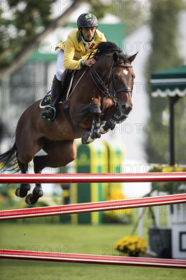 Yuri Mansur of Brazil, riding QH Alfons Santo Antonio competes in the 2025 Spruce Meadows Masters