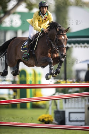 Yuri Mansur of Brazil, riding QH Alfons Santo Antonio competes in the 2025 Spruce Meadows Masters