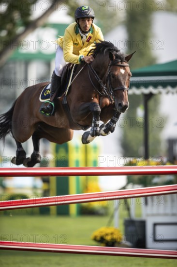 Yuri Mansur of Brazil, riding QH Alfons Santo Antonio competes in the 2025 Spruce Meadows Masters