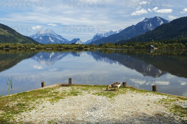 Panoramic lake reflects the surrounding mountains and the slightly cloudy sky, Admont, Styria,