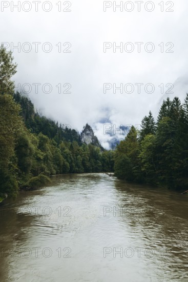 Enns after heavy rainfall surrounded by dense forests and fog-covered mountains, Gesäuse, Styria,