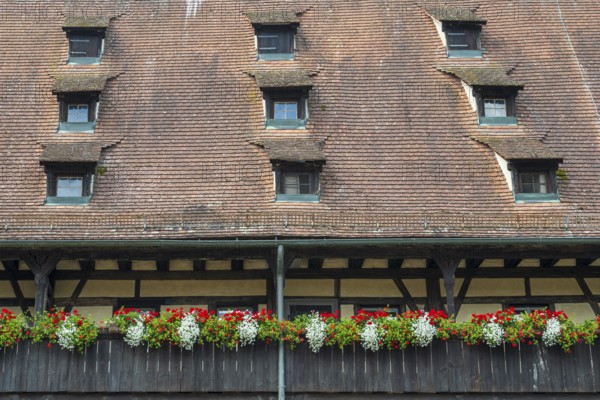 Flowers on the arcades, roof with dormer windows, Old Court, inner courtyard, UNESCO World Heritage