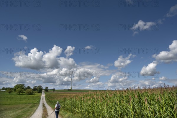 Hiker on a country lane in Franconian landscape, a windmill behind, cloudy sky, Karsberg, Upper