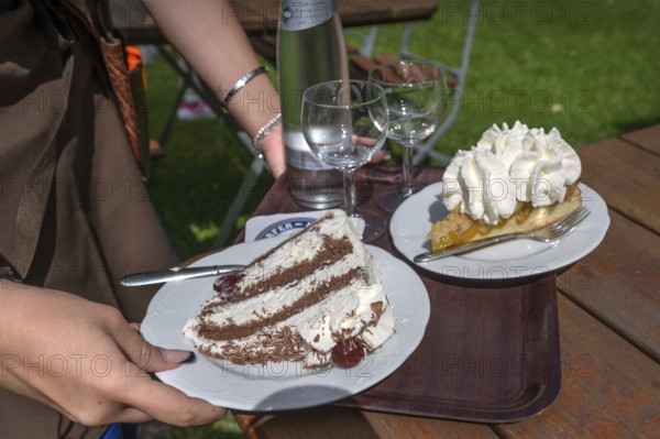 Cakes are served on a tray in a garden café, Franconia, Bavaria, Germany